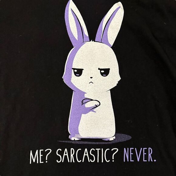 Tee Turtle ~ Set of 2 ~ Black Tshirt w/ Bunny ~ size XL ~ lightweight - Picture 7 of 12